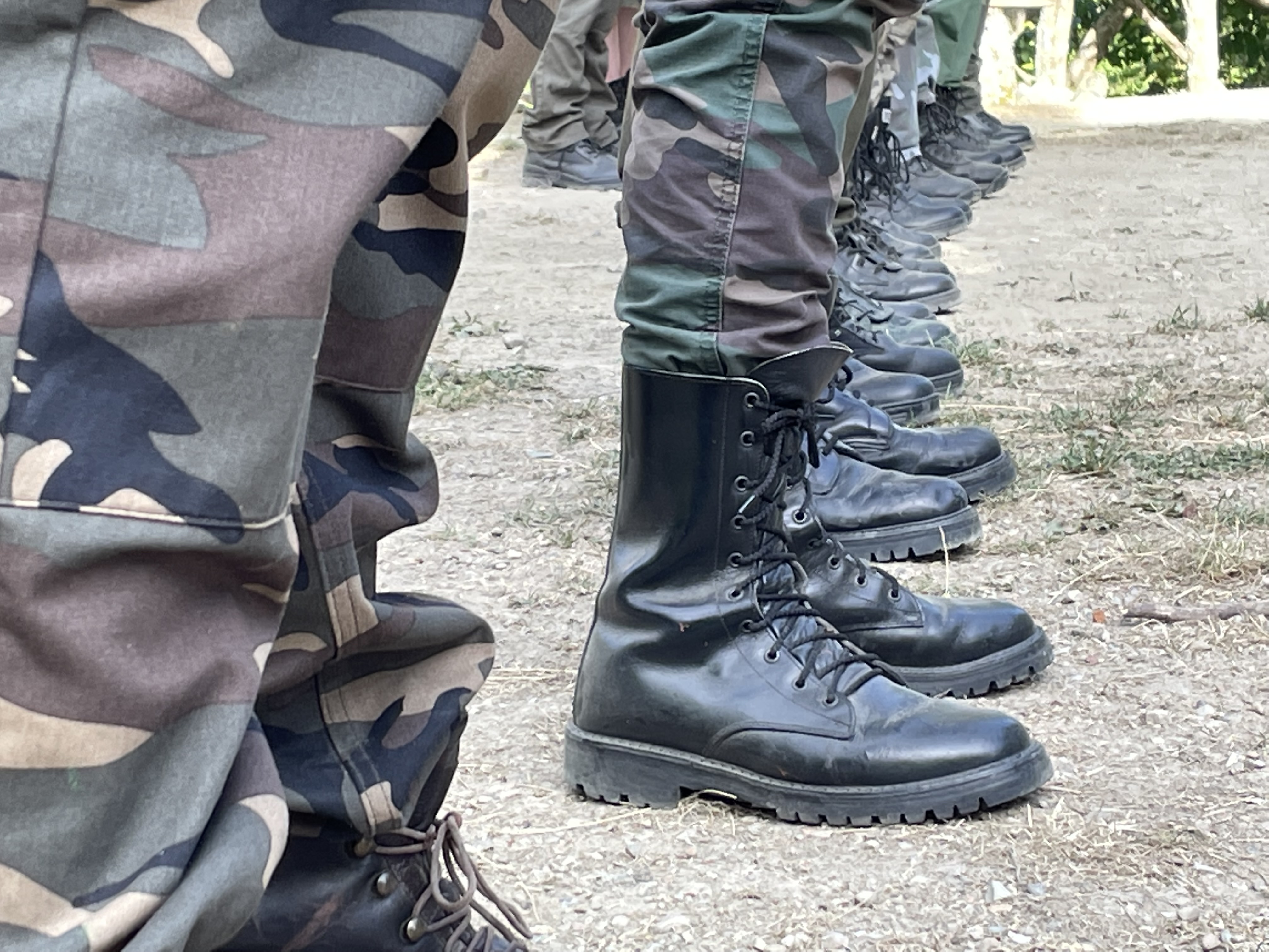 Articolo 28